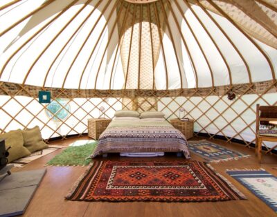 Gilliflower Yurt, set in orchard by woodland