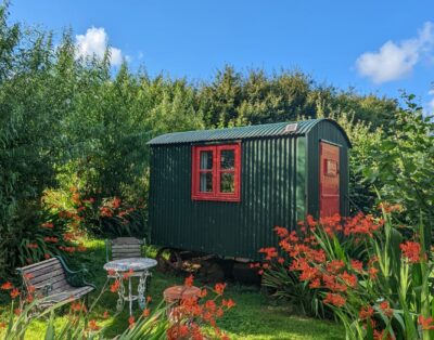 Romantic Shepherds Hut, nestled in nature